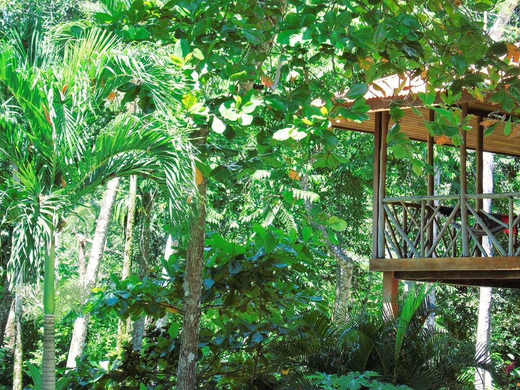 Punta Preciosa Bed & Breakfast Puerto Jimenez Exterior photo