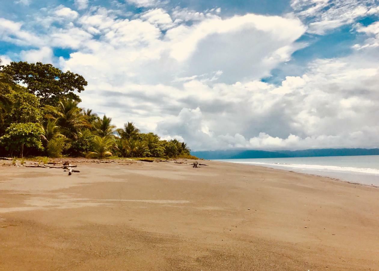 Punta Preciosa Bed & Breakfast Puerto Jimenez Exterior photo